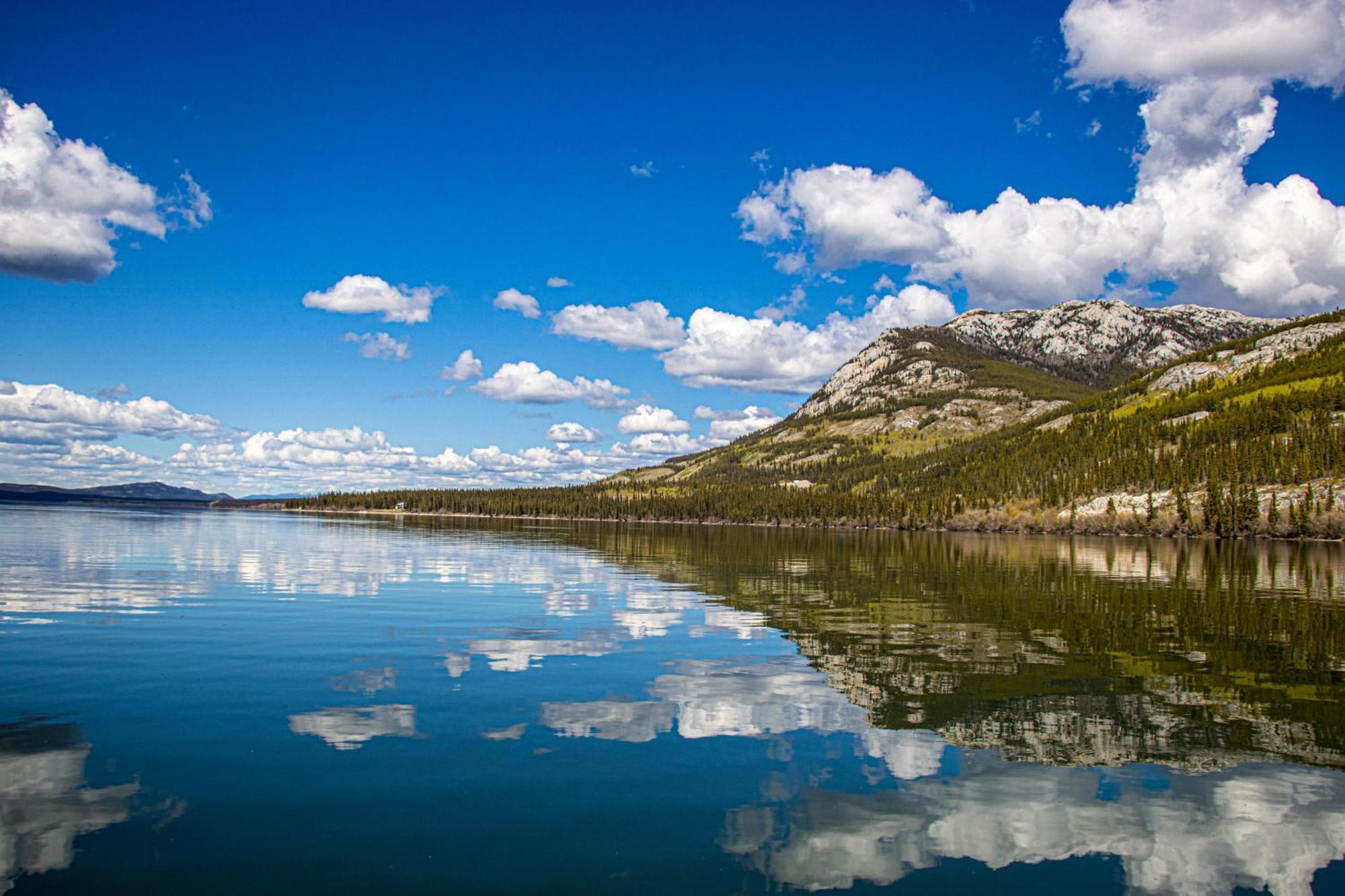 Little Atlin Lodge Tagish Exteriör bild