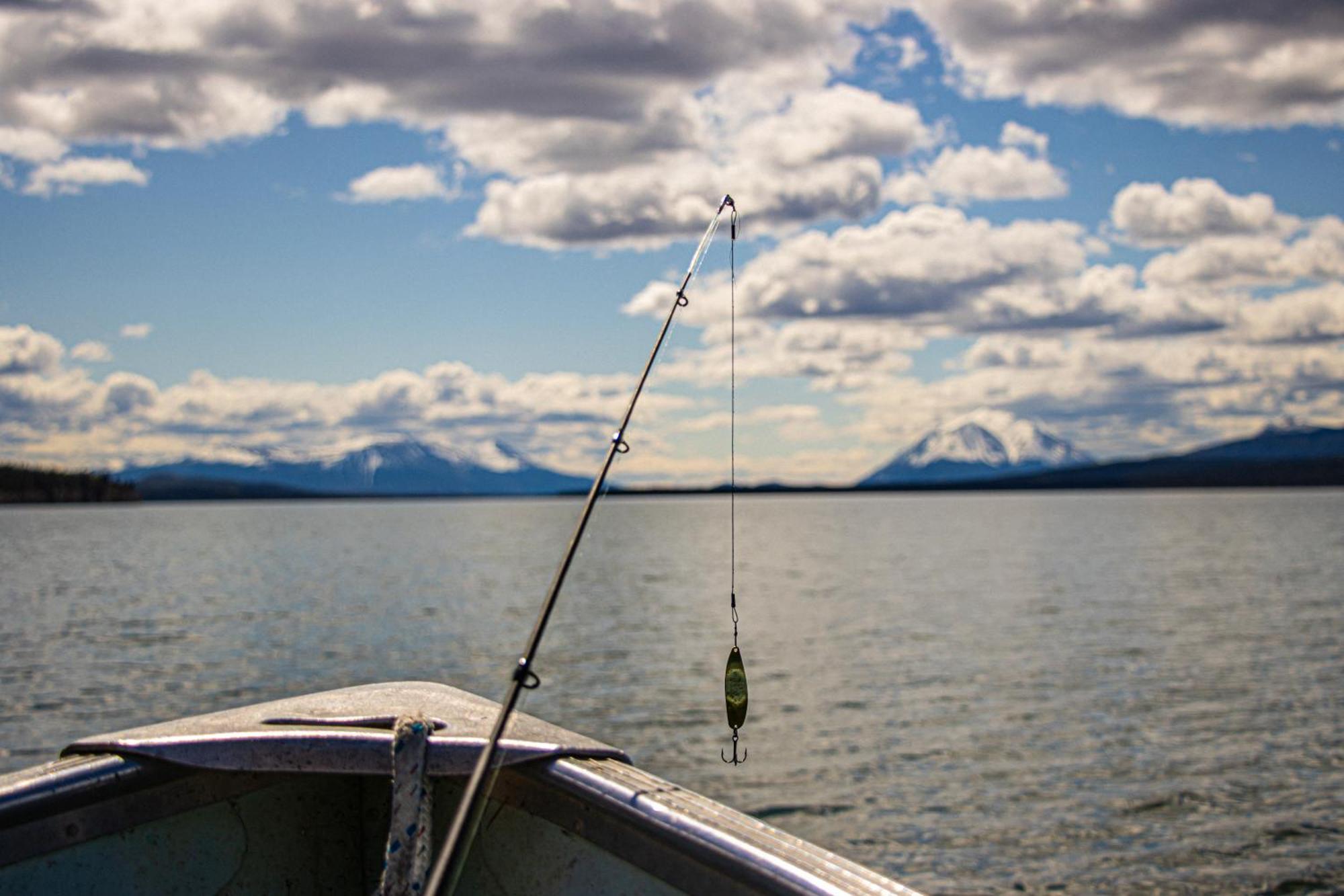 Little Atlin Lodge Tagish Exteriör bild