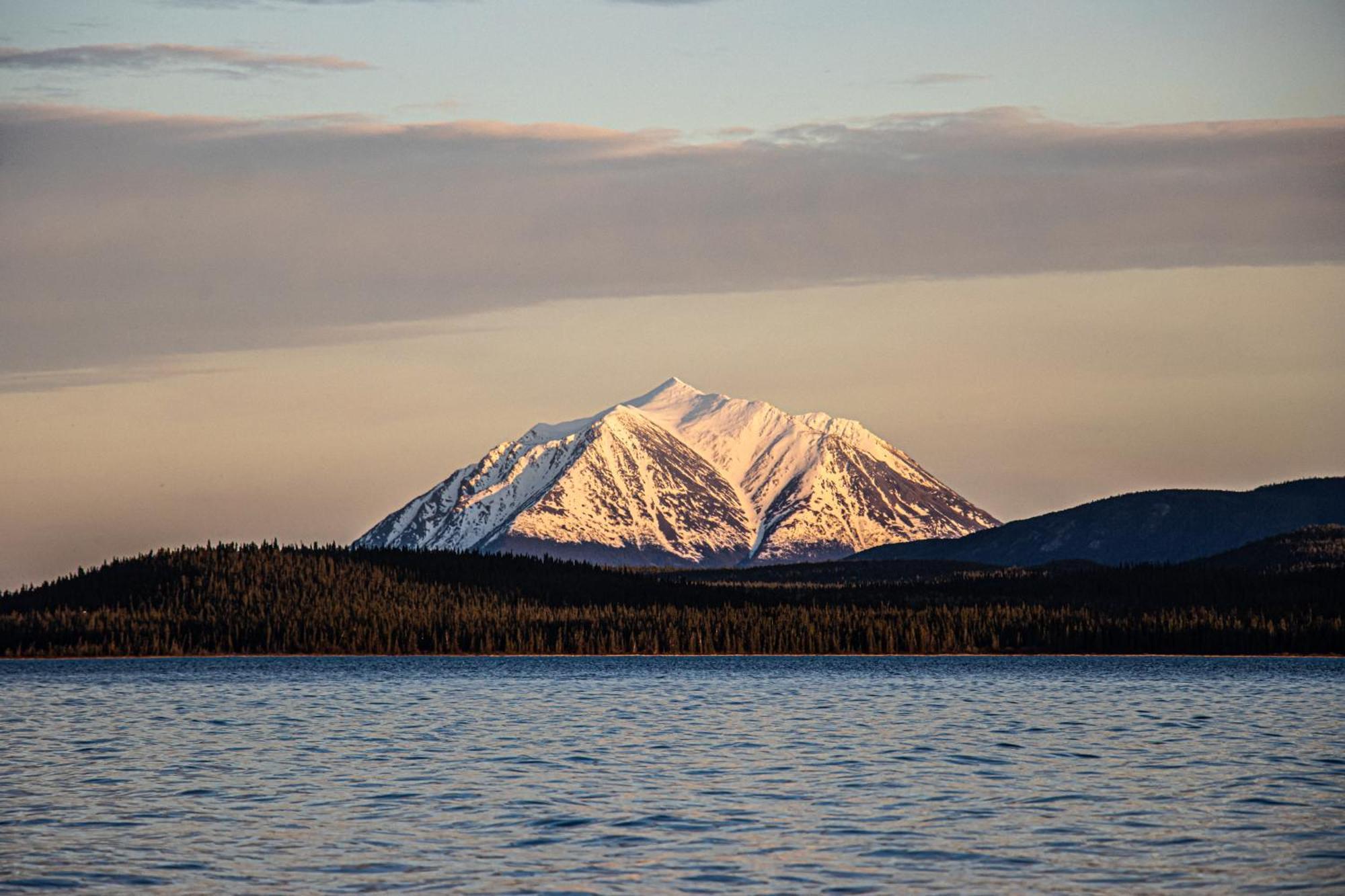 Little Atlin Lodge Tagish Exteriör bild