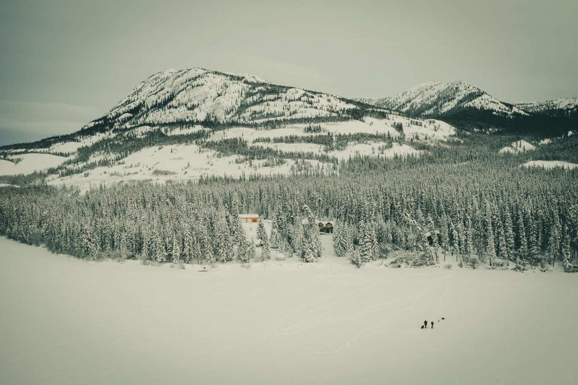 Little Atlin Lodge Tagish Exteriör bild