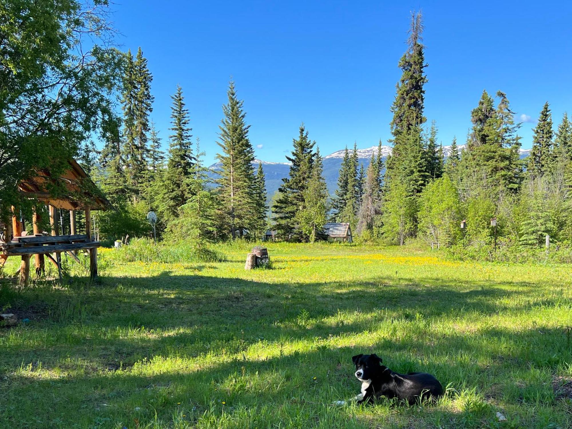 Little Atlin Lodge Tagish Exteriör bild